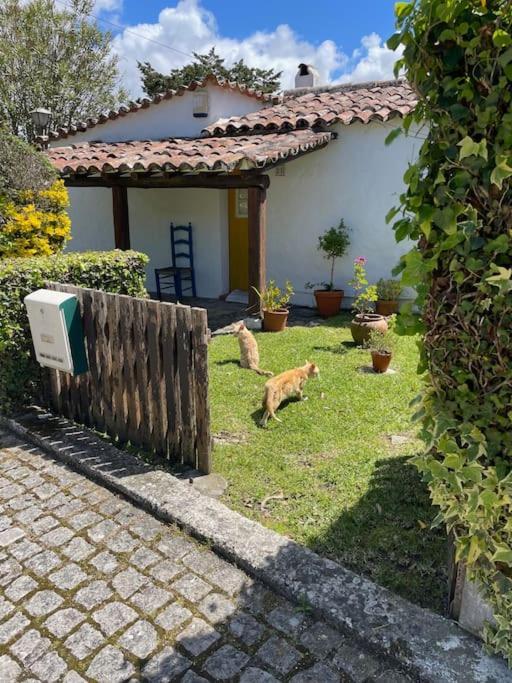 Ocean, Surf, Golf Private Villa With Pool Near Lagoon Casal do Narcizo Esterno foto